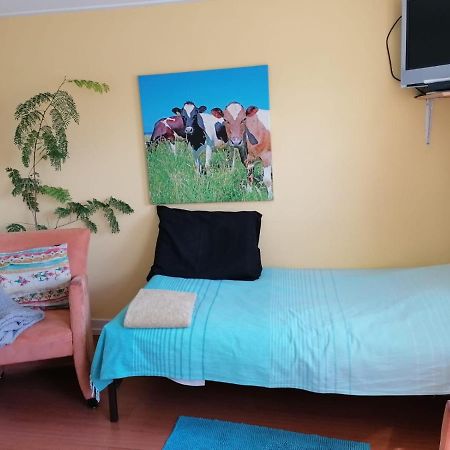 B&B Bij De Koeien Tubbergen Zewnętrze zdjęcie